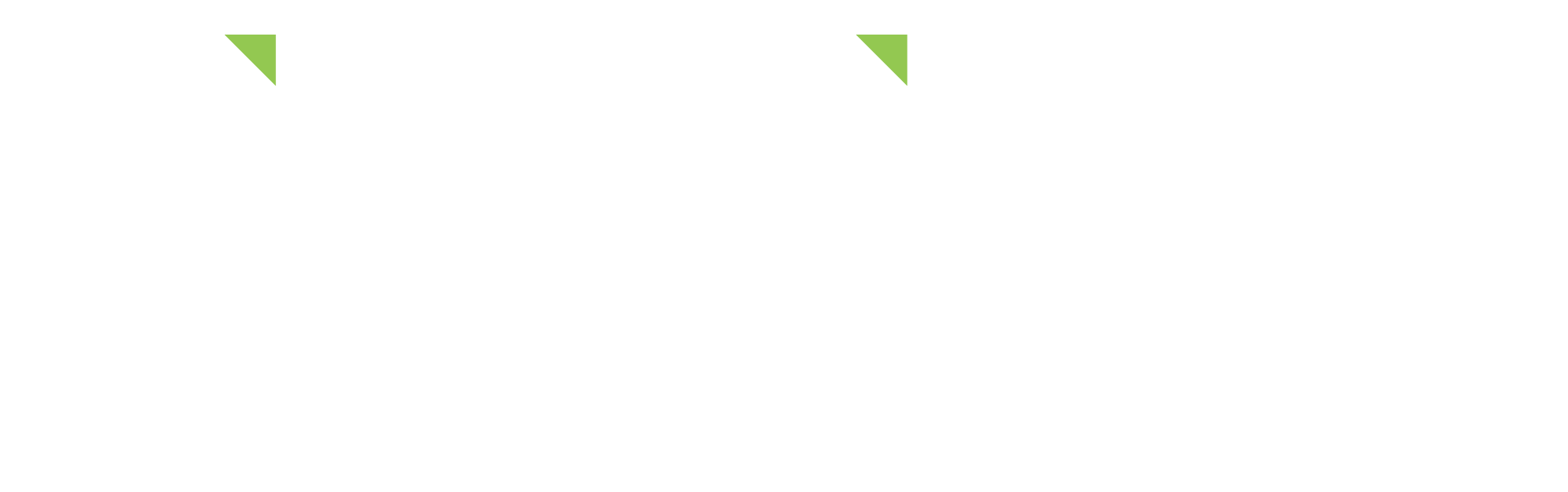 Lifetime EPR Logo